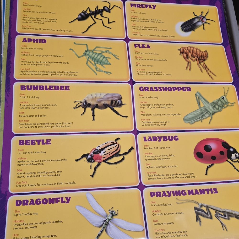 Educational Kids Poster Set - Picture 4 of 16